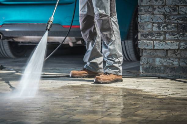 Best Building Exterior Washing  in Hollywood Park, TX