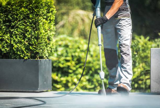 Best Driveway Pressure Washing  in Hollywood Park, TX